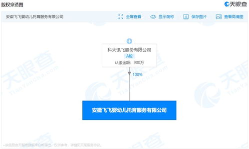 科大讯飞多元化布局 进军婴幼儿托育服务领域